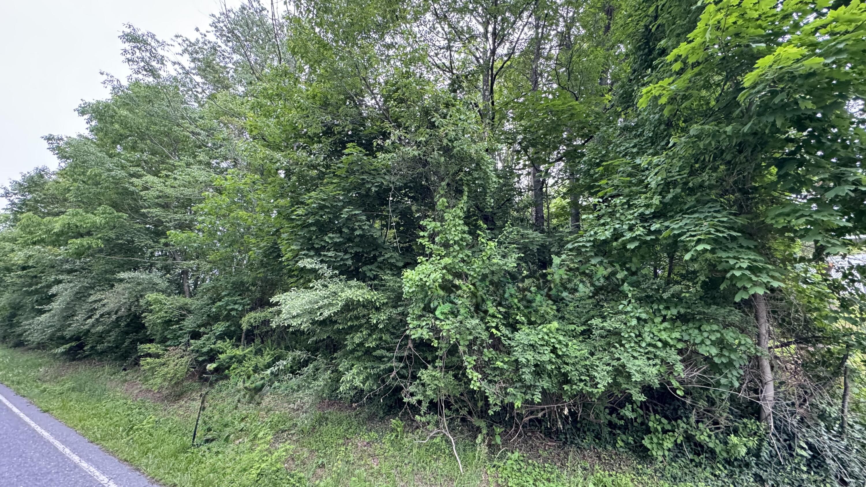 Ashley Ct H15 Court, Kunkletown, Pennsylvania image 10
