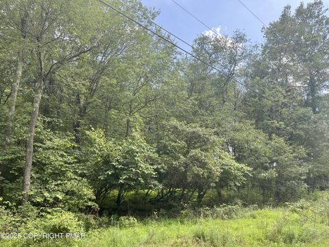 Vacant Land For Sale - 224 & 225 Bluejay Drive<br/> Jim Thorpe, PA 18229