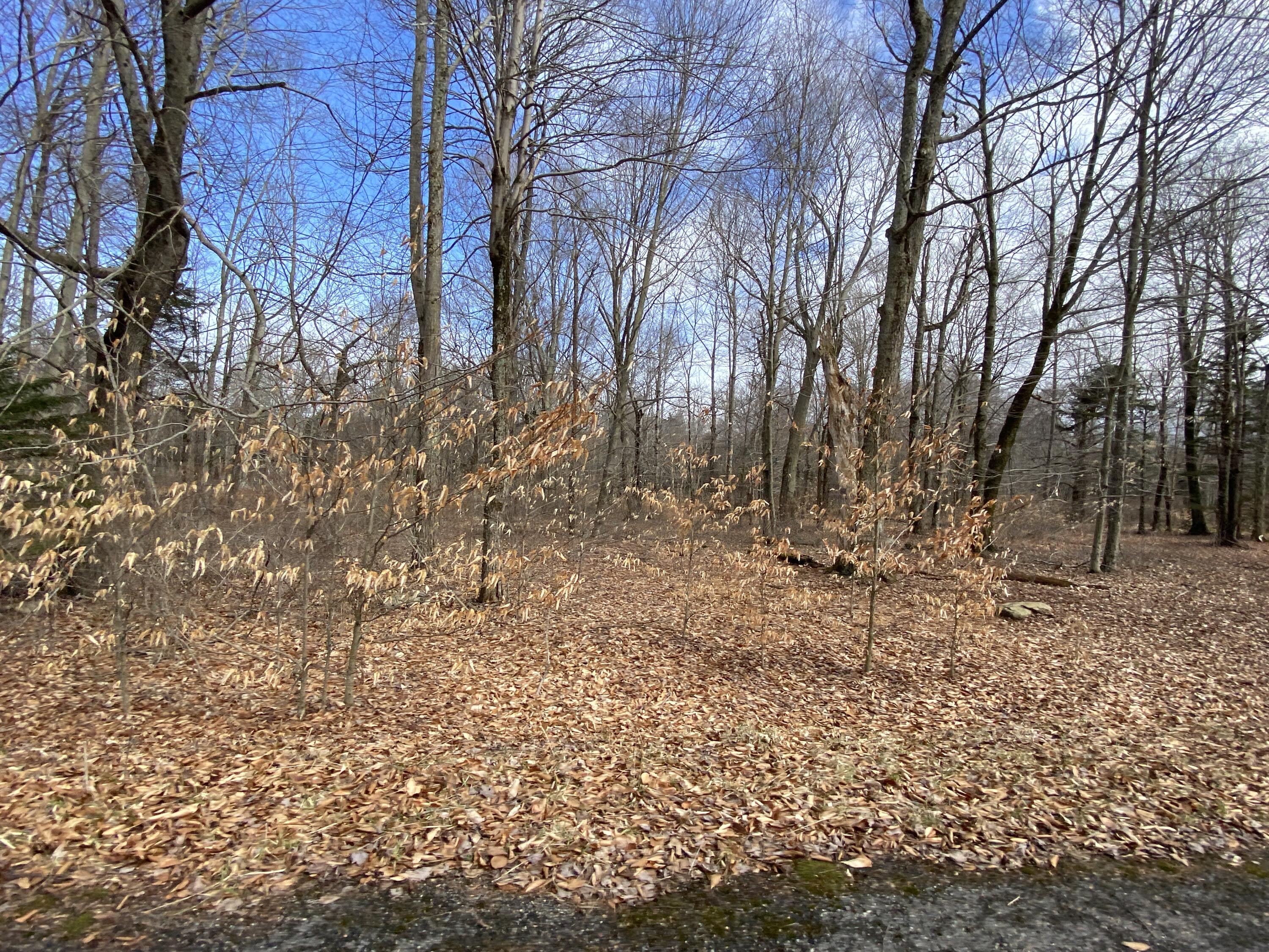 1022 W Wadi Road, Pocono Lake, Pennsylvania image 6