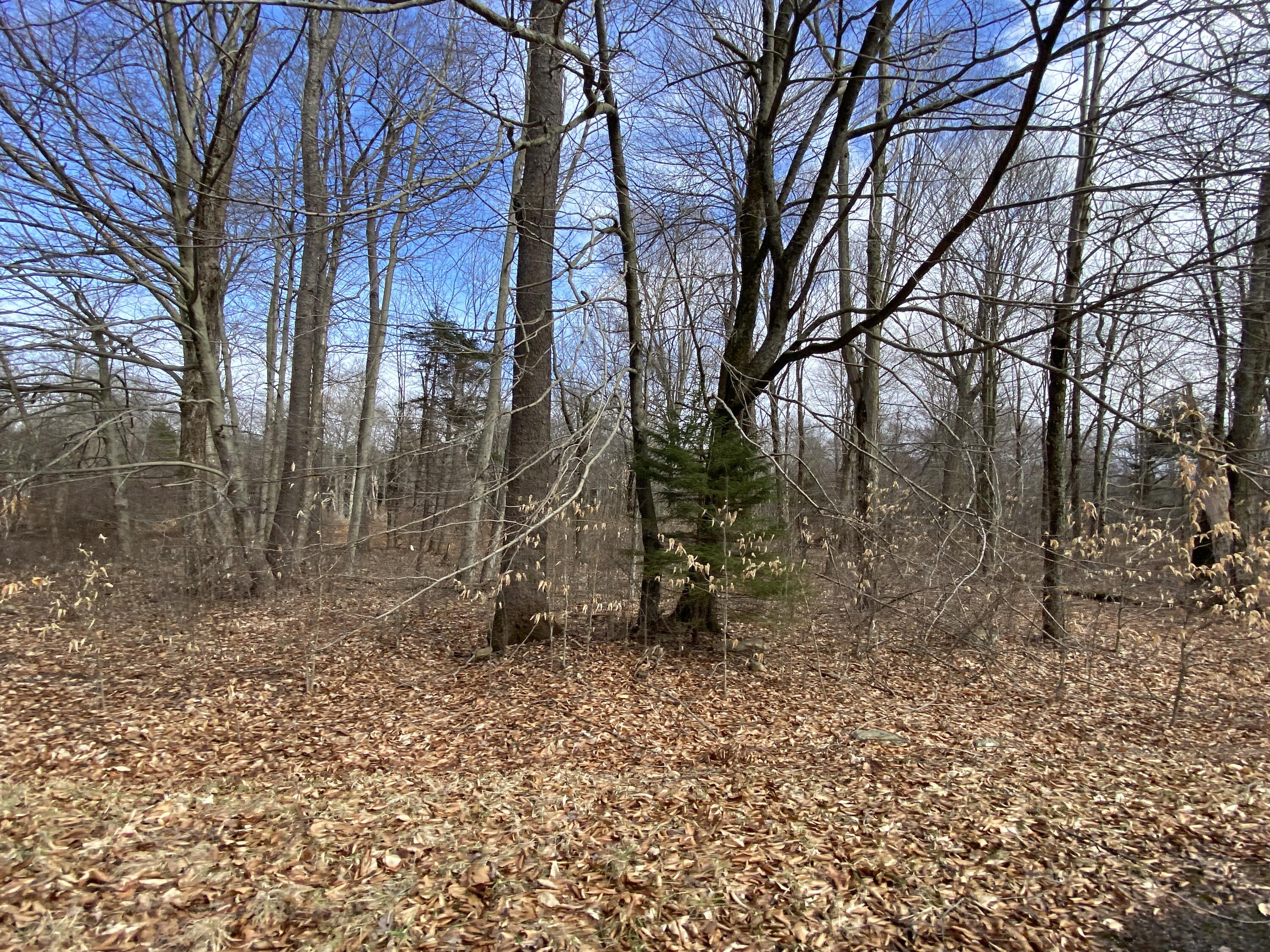 1022 W Wadi Road, Pocono Lake, Pennsylvania image 5