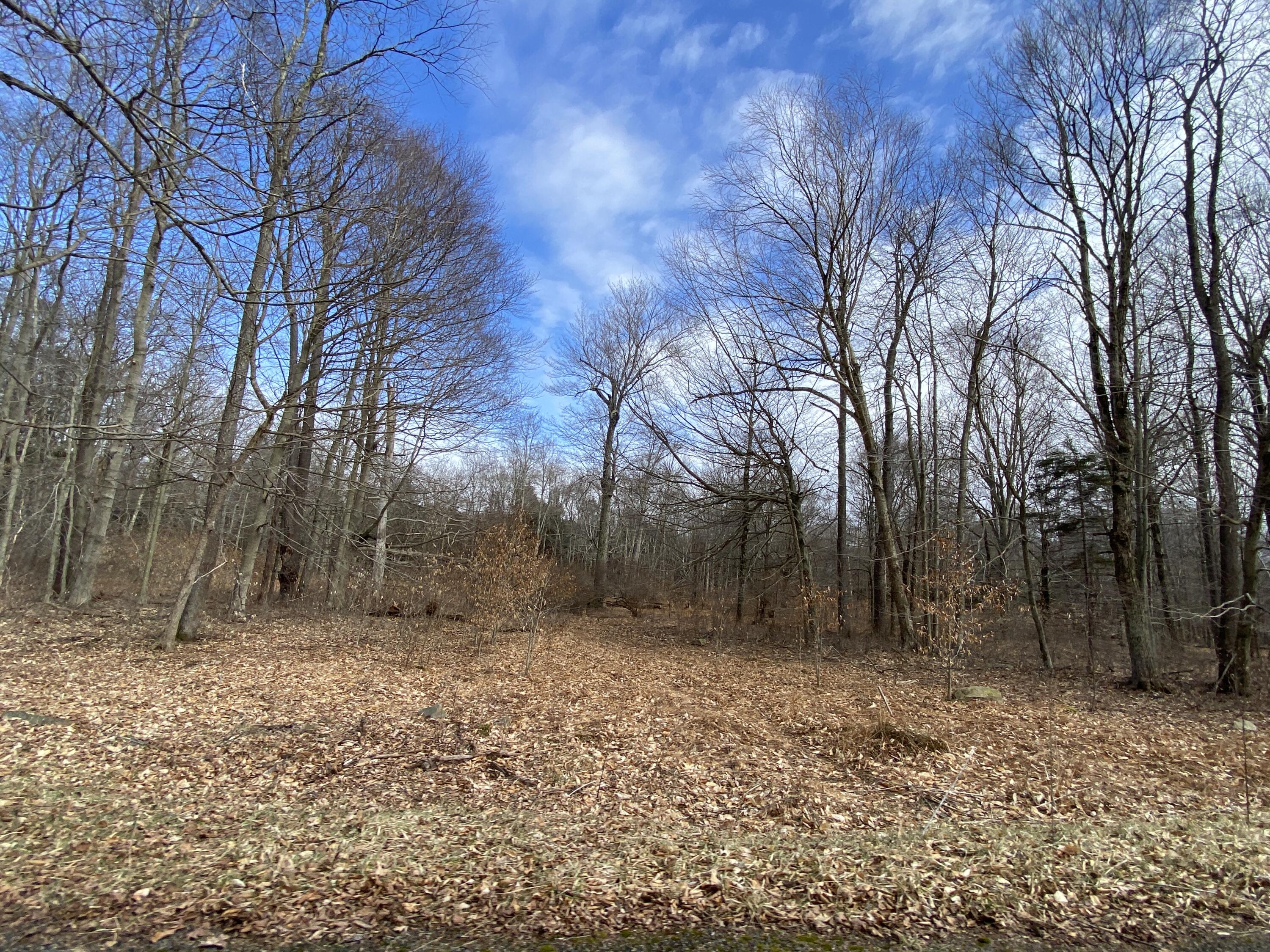 1022 W Wadi Road, Pocono Lake, Pennsylvania image 1