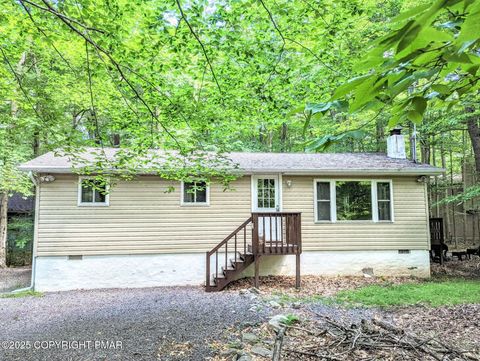 5345 Conoquenissing Drive Pocono Lake PA 18347