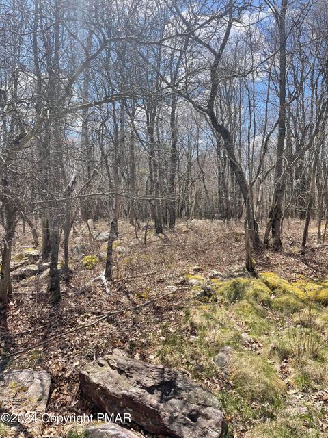 Buck Hill Road 72 Blakeslee PA 18610