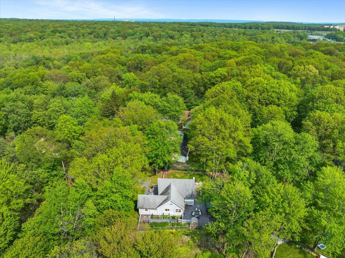 3137 Fern Road, Pocono Summit, Pennsylvania image 39
