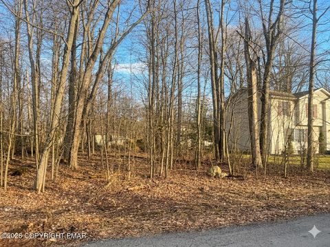 Vacant Land For Sale - 2124 Birchwood Blvd # 4236<br/> Pocono Summit, PA 18346