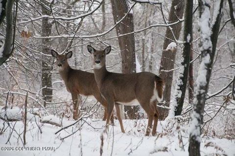 Vacant Land For Sale - Maccauley Road<br/> Carbon County, Albrightsville, PA 18210
