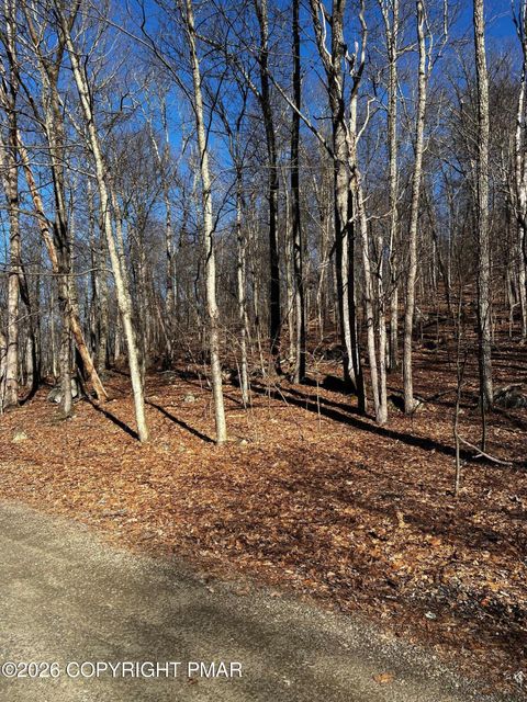 Vacant Land For Sale - Berry Lane<br/> Monroe County, Cresco, PA 18326