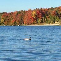 539 Country Place Drive, Tobyhanna, Pennsylvania image 14