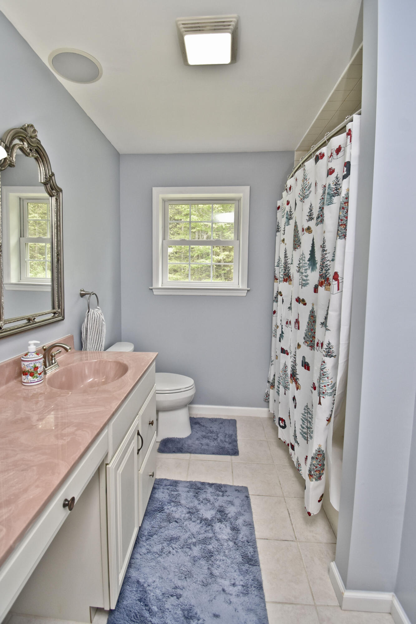 210 Edwin Lane, Stroudsburg, Pennsylvania image 42