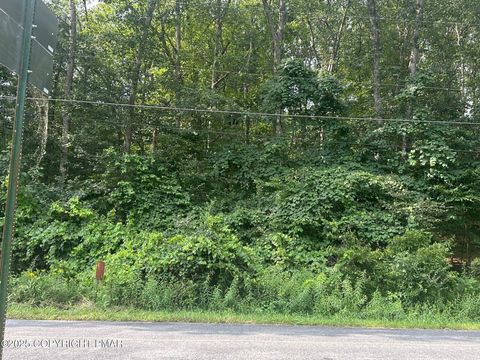 Vacant Land For Sale - LOT 218 Brookdale Road<br/> Bartonsville, PA 18321