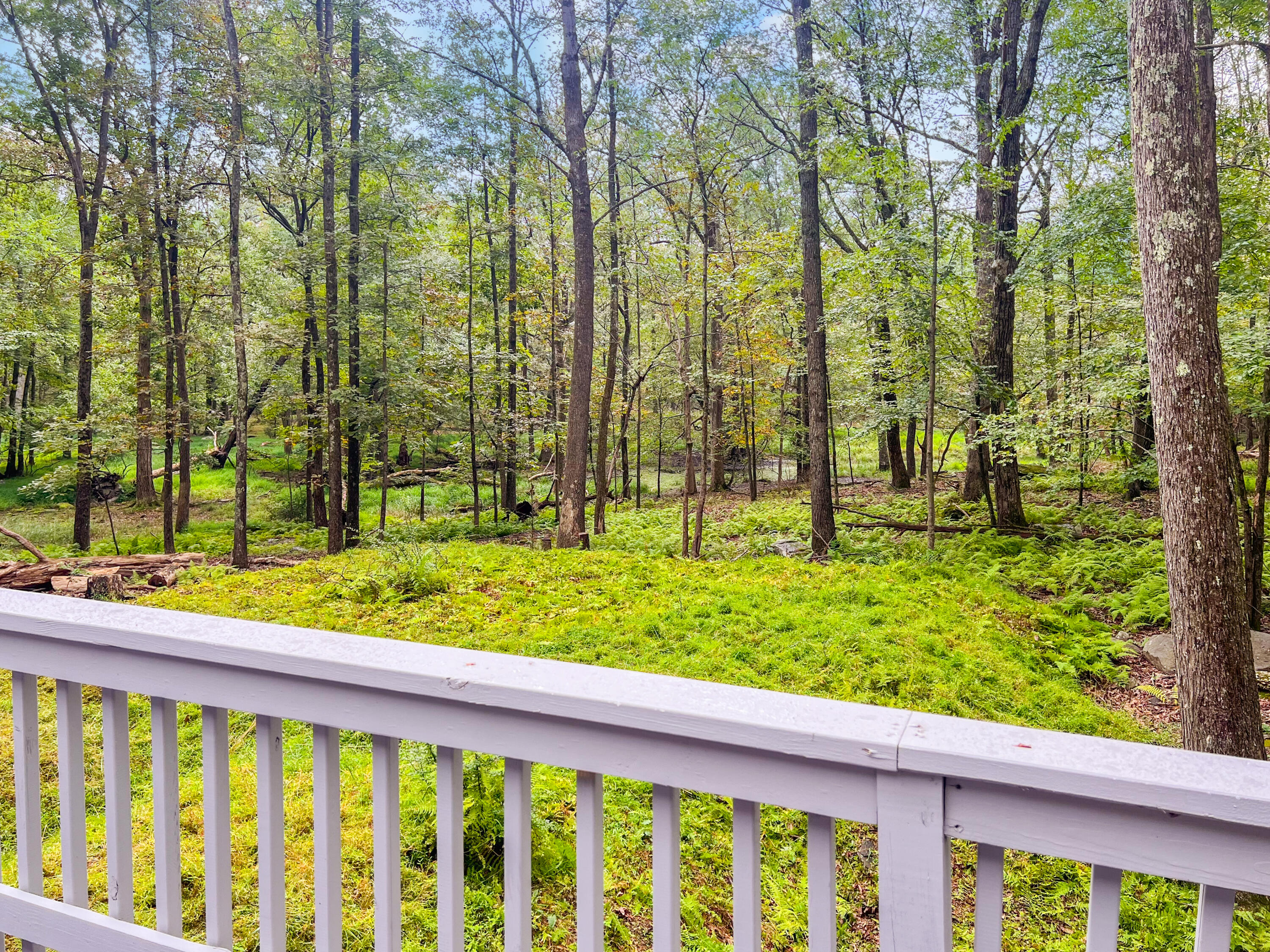 319 Whipporwill Drive, Bushkill, Pennsylvania image 5