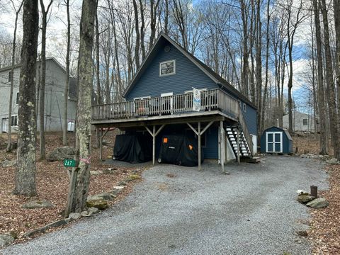 267 Wyalusing Drive Pocono Lake PA 18347