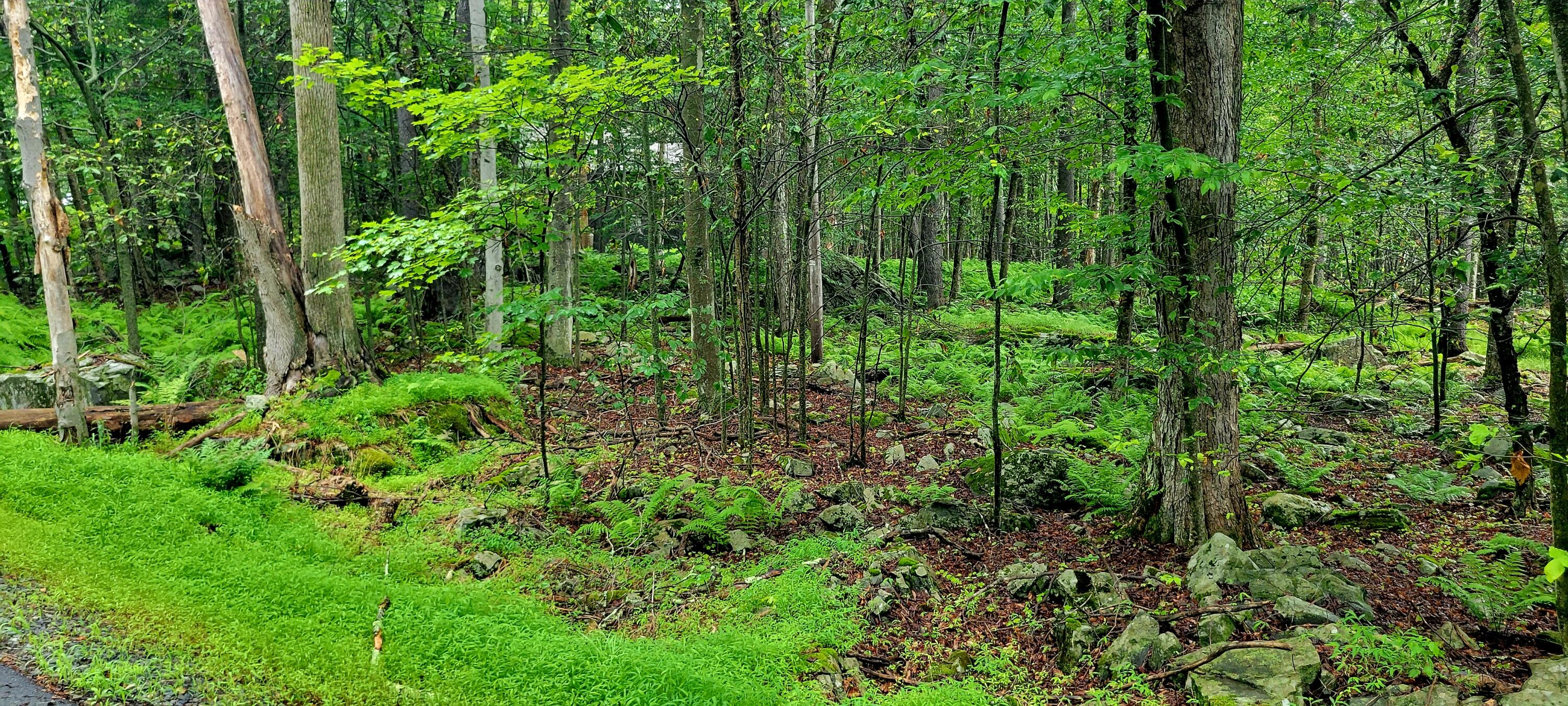 Lot 461 W Creek View Drive