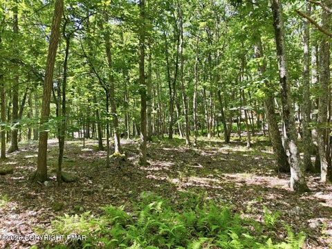 Vacant Land For Sale - Gingerbread Ln 54 Lane<br/> East Stroudsburg, PA 18302