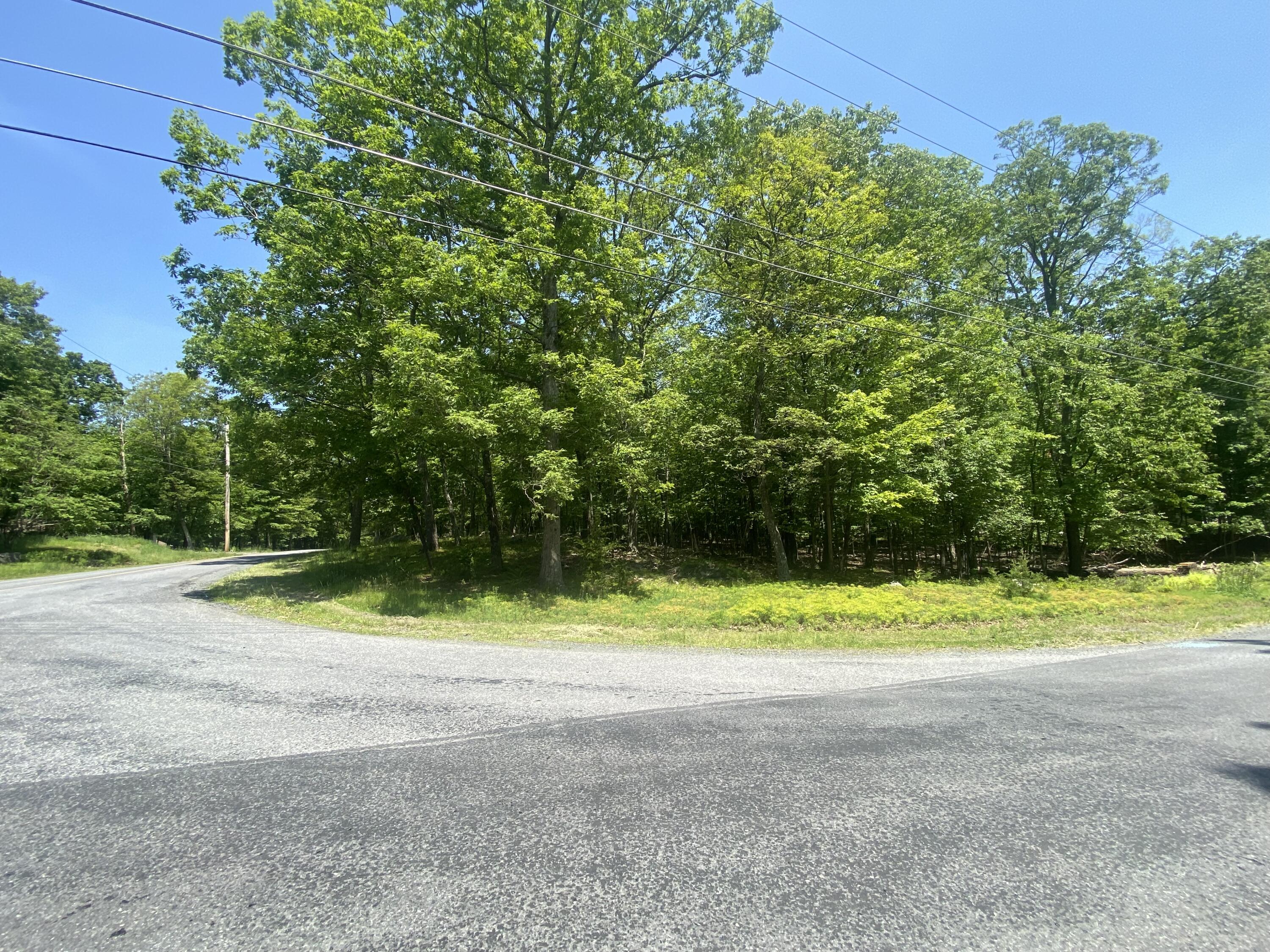 Lot 185, Bushkill, Pennsylvania image 1