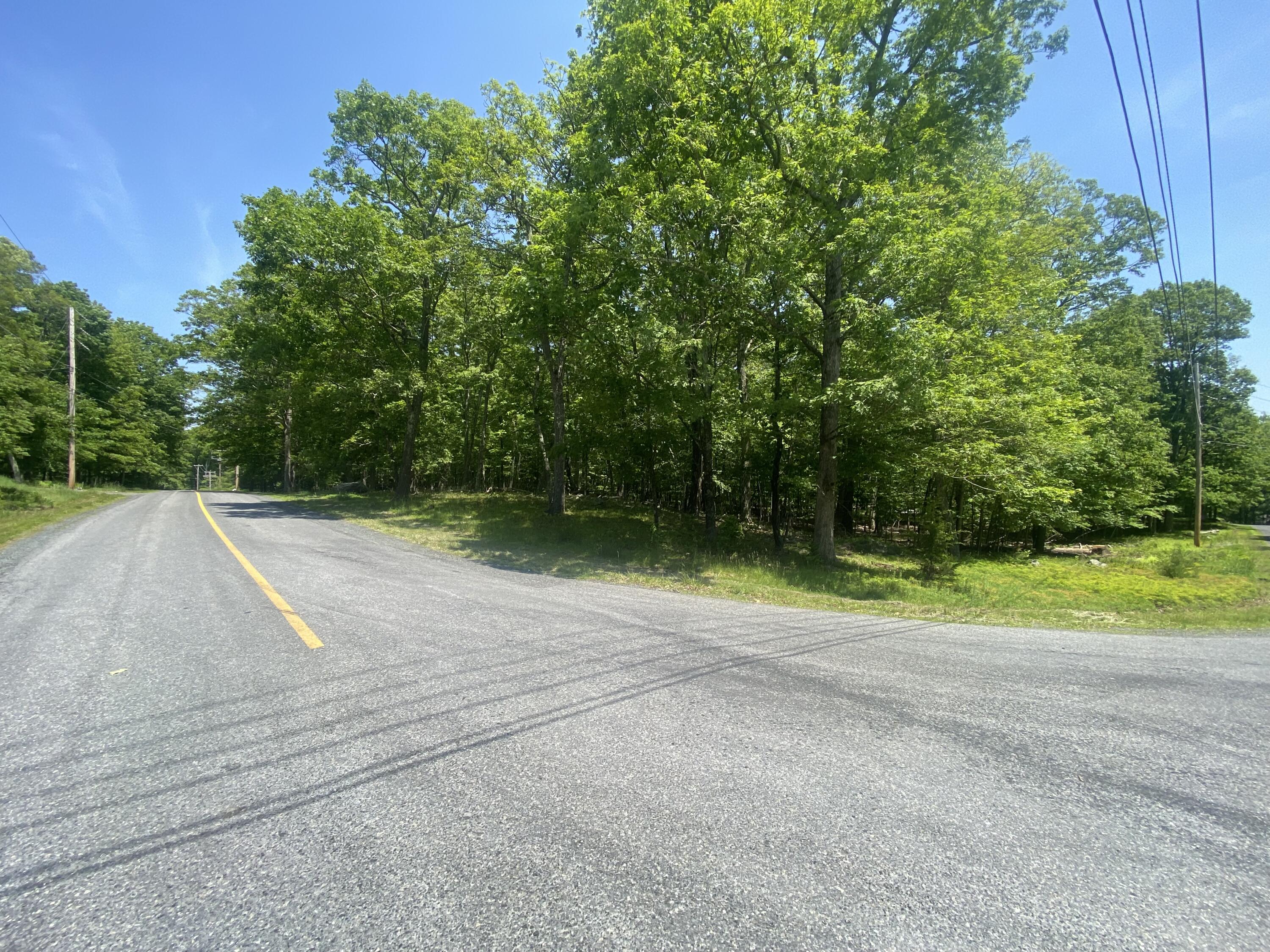 Lot 185, Bushkill, Pennsylvania image 2