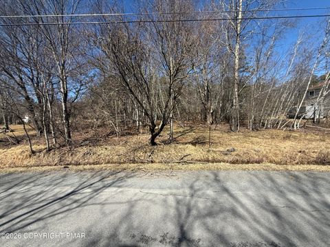 Vacant Land For Sale - 614 Park Lane Road<br/> Monroe County, Blakeslee, PA 18610