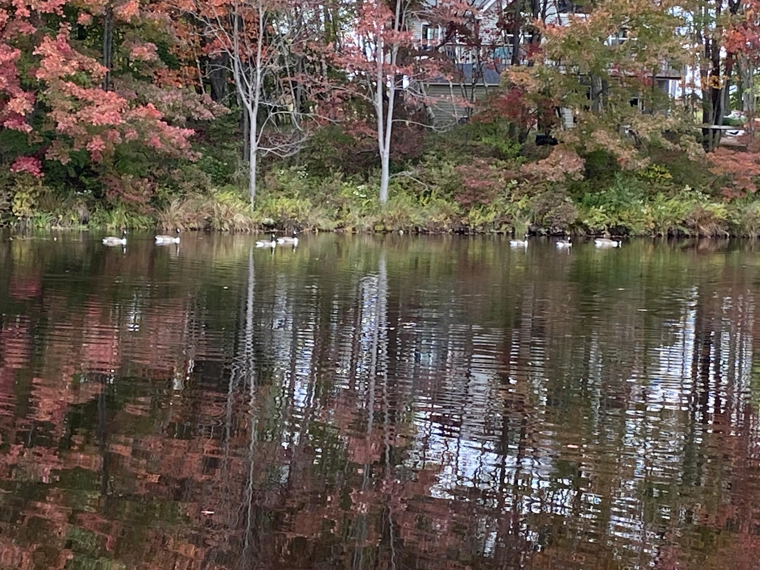 109 Minisink Drive, Pocono Lake, Pennsylvania image 35