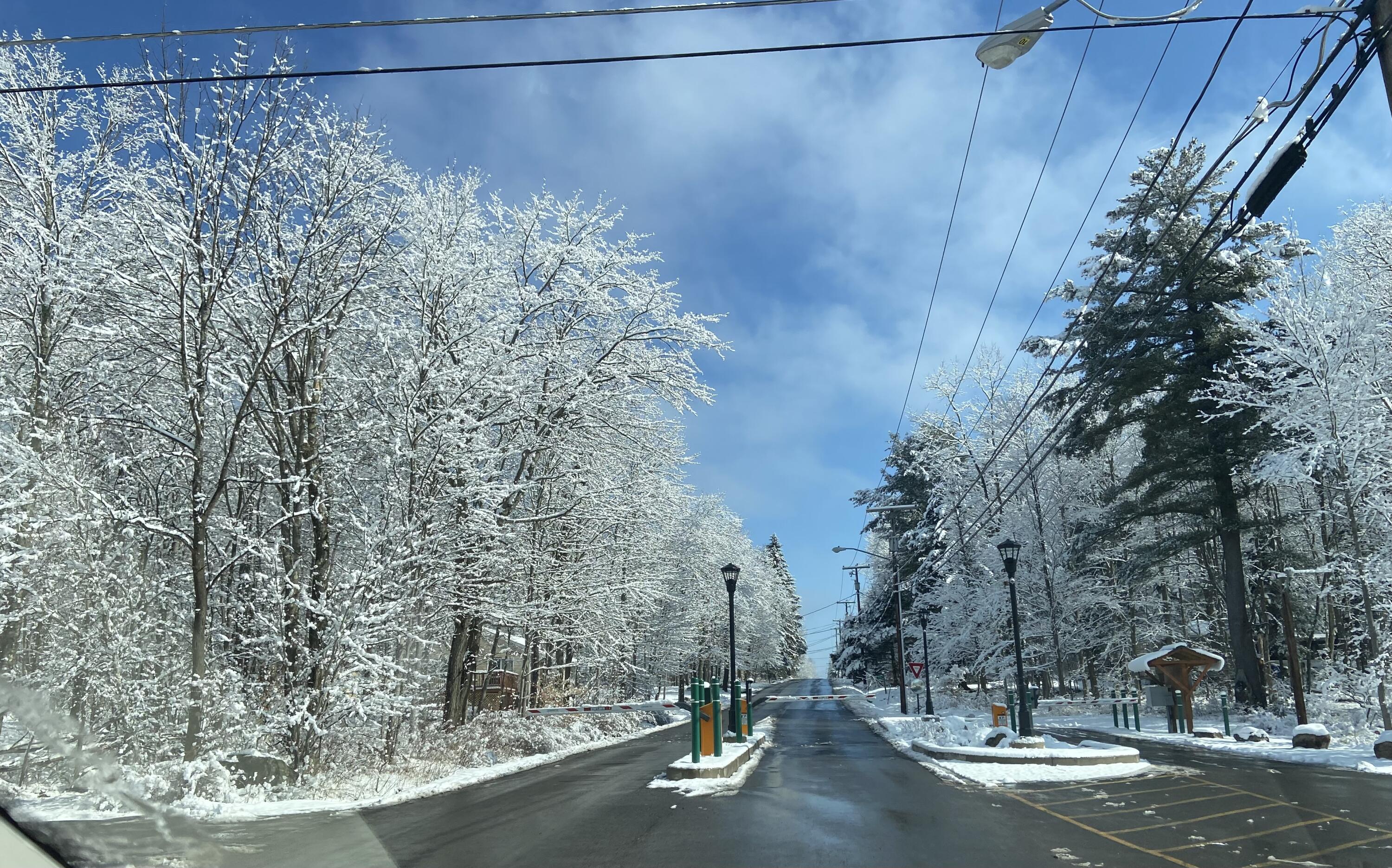 109 Minisink Drive, Pocono Lake, Pennsylvania image 45