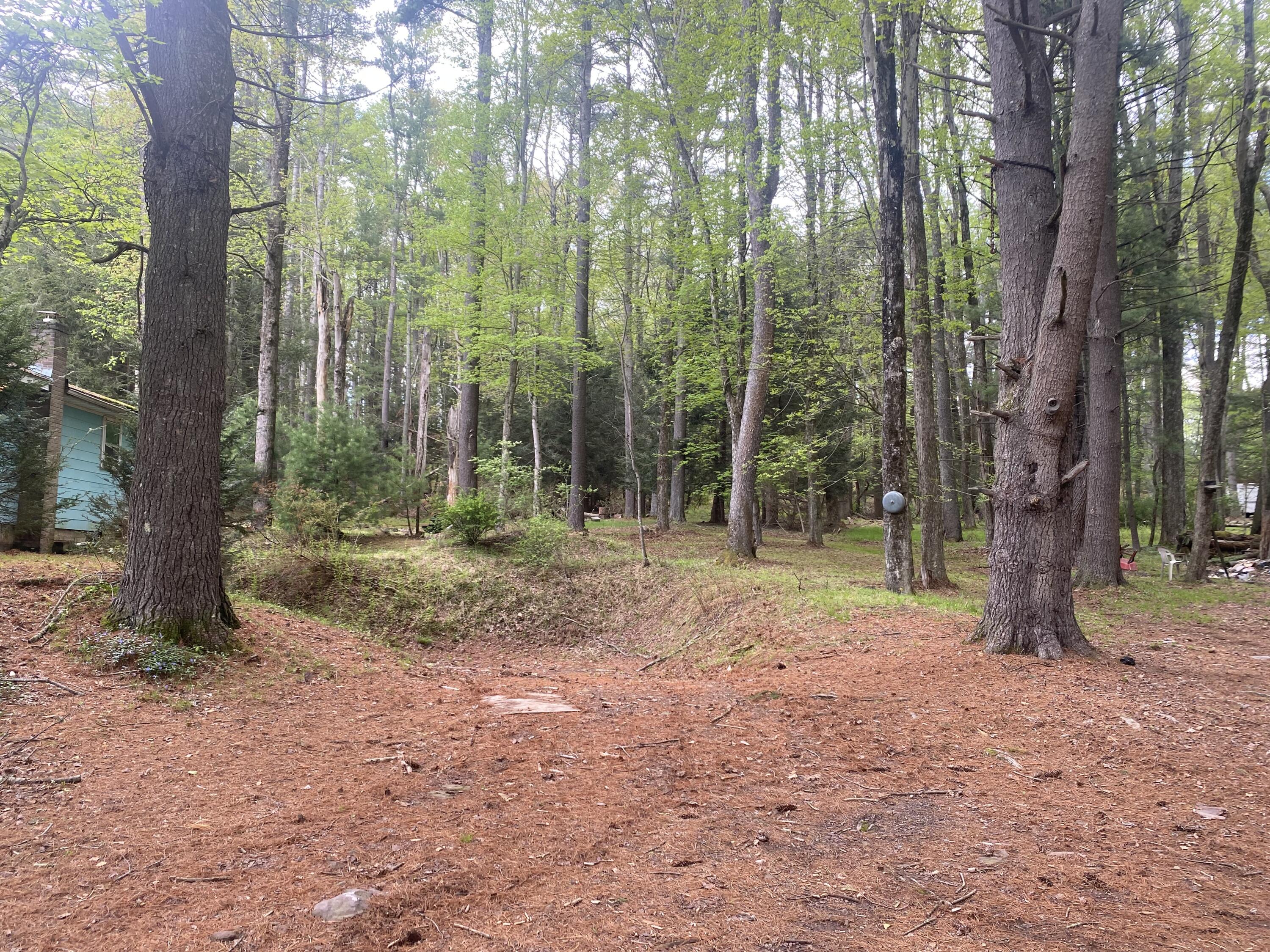 307 Rockport Road, Weatherly, Pennsylvania image 33