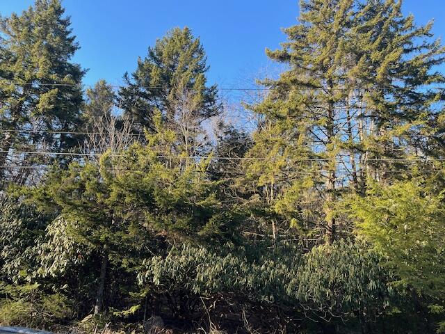 45 Pine Cone Road, Pocono Pines, Pennsylvania image 1