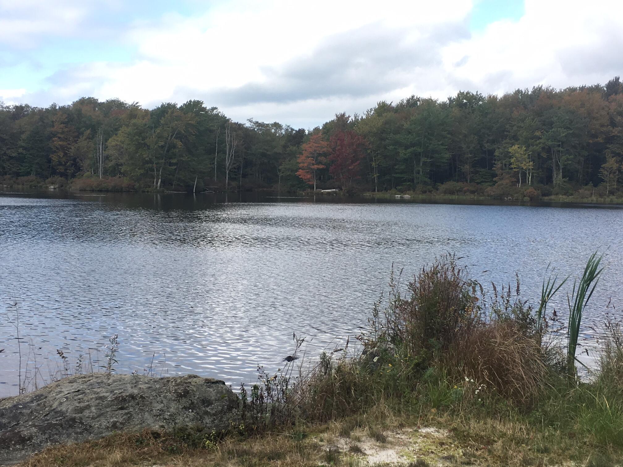 199 Wyomissing Drive, Pocono Lake, Pennsylvania image 40