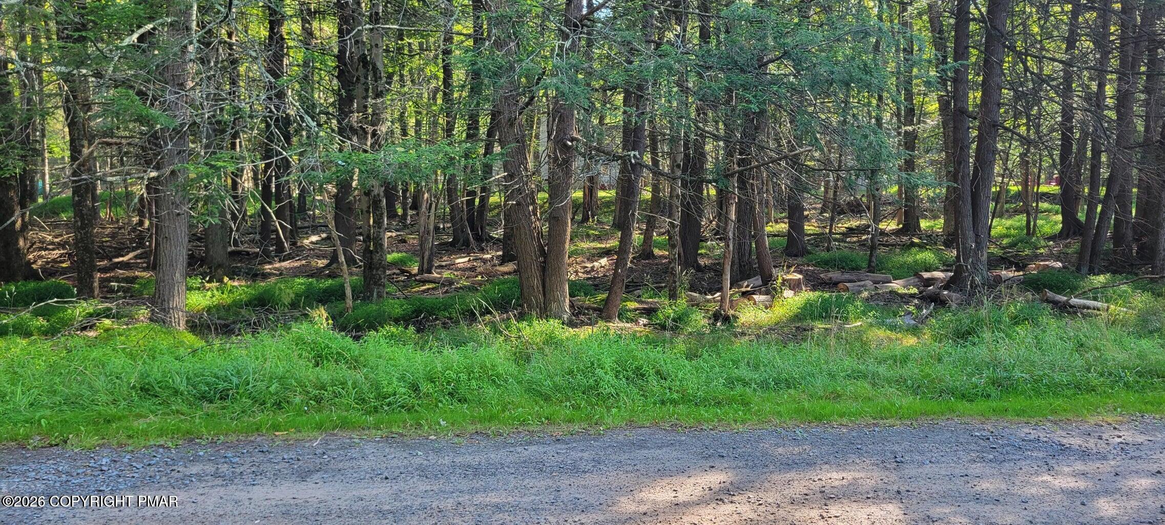 Netcong Cir 33 Circle