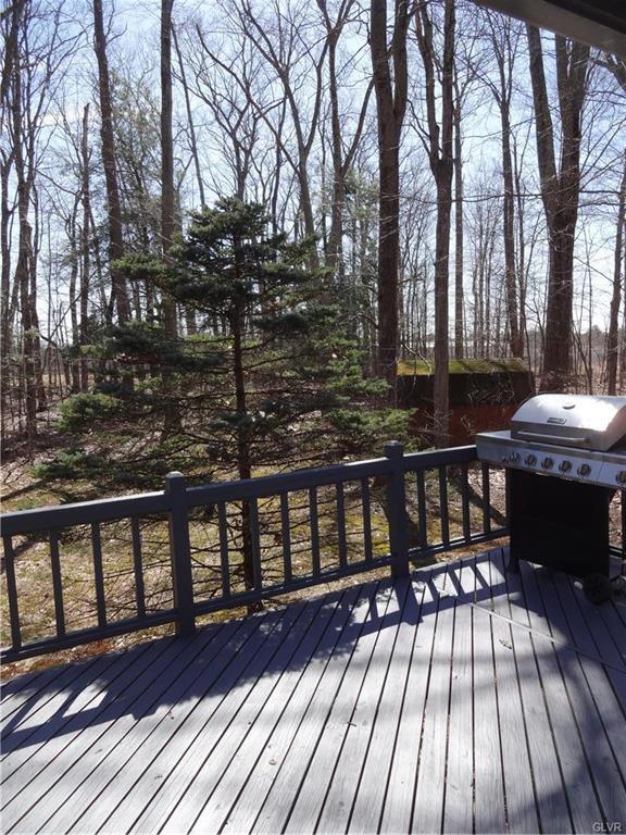 1123 Blackberry Road, Pocono Lake, Pennsylvania image 9