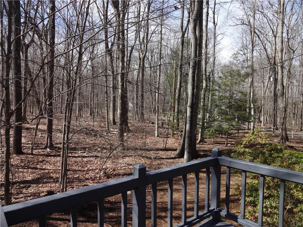 1123 Blackberry Road, Pocono Lake, Pennsylvania image 10