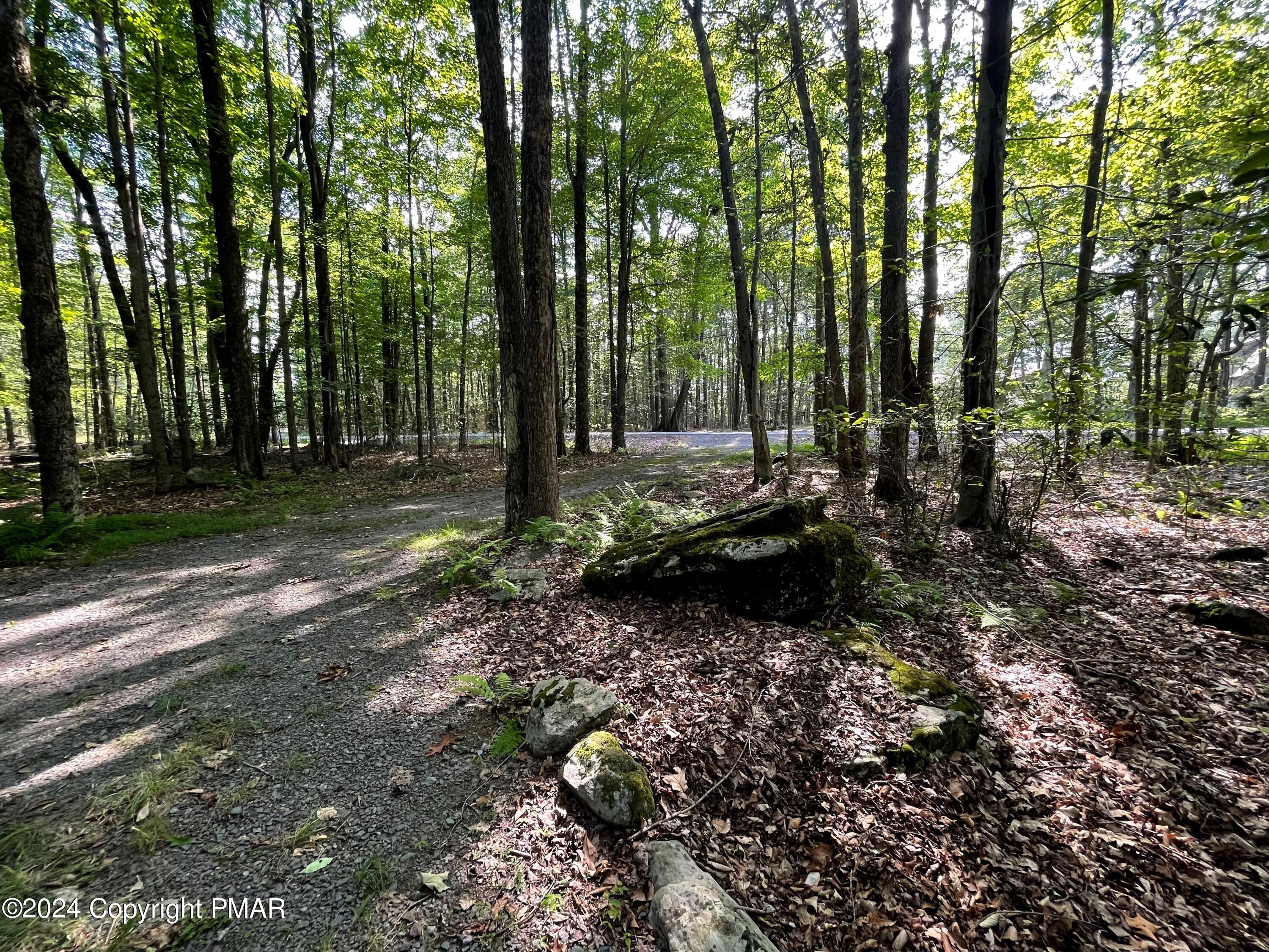 260 Partridge Drive, Pocono Lake, Pennsylvania image 35