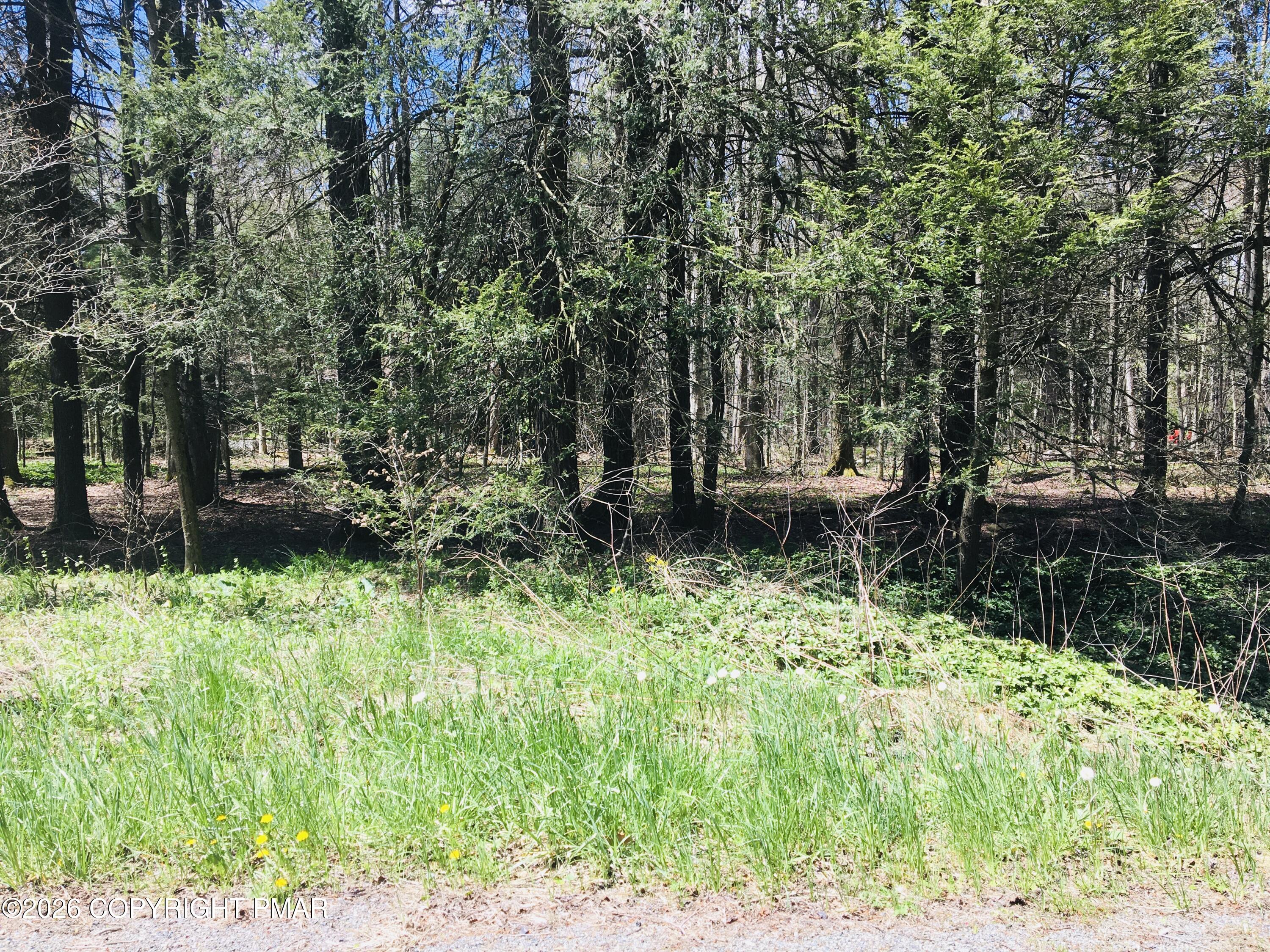 Lot 31 Route 423