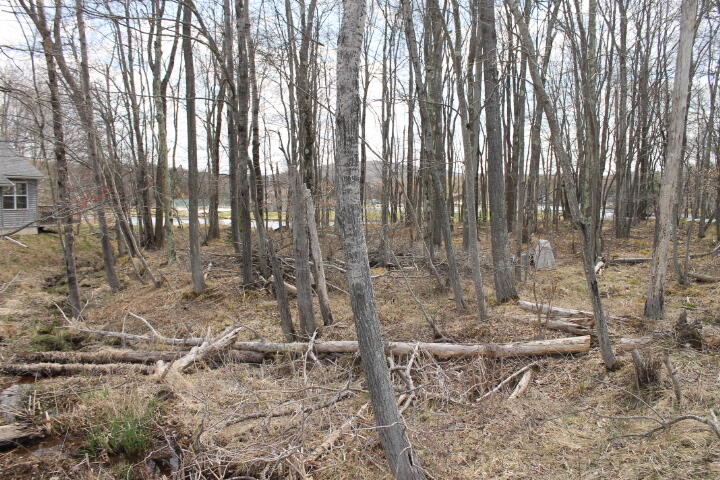 #31 Lake Shore Dr 31, Pocono Lake, Pennsylvania image 4