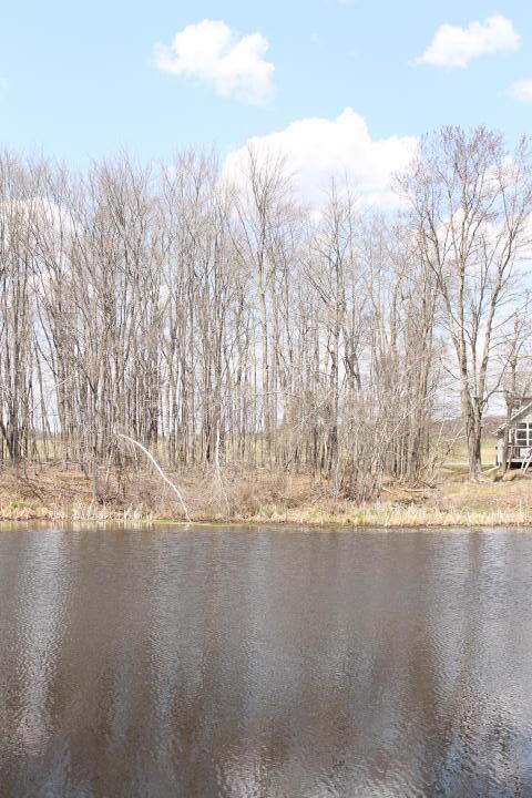 #31 Lake Shore Dr 31, Pocono Lake, Pennsylvania image 1