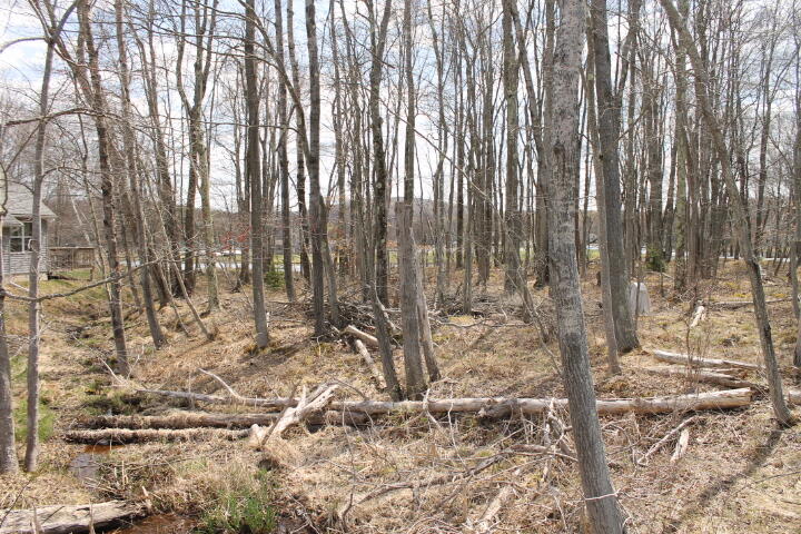 #31 Lake Shore Dr 31, Pocono Lake, Pennsylvania image 3