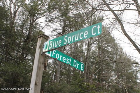 Vacant Land For Sale - Forest Rd East 510<br/> Monroe County, Pocono Lake, PA 18347
