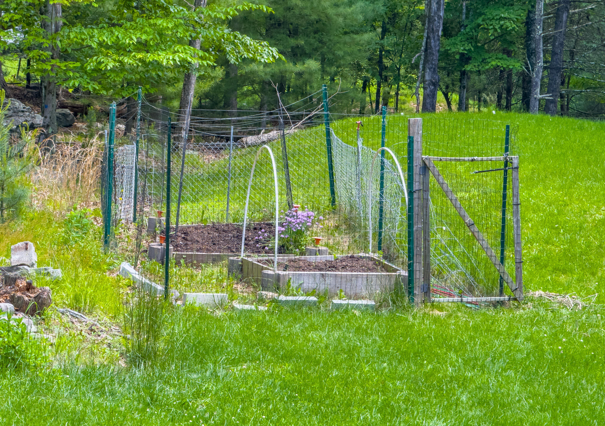 59 Coach Road, Stroudsburg, Pennsylvania image 43