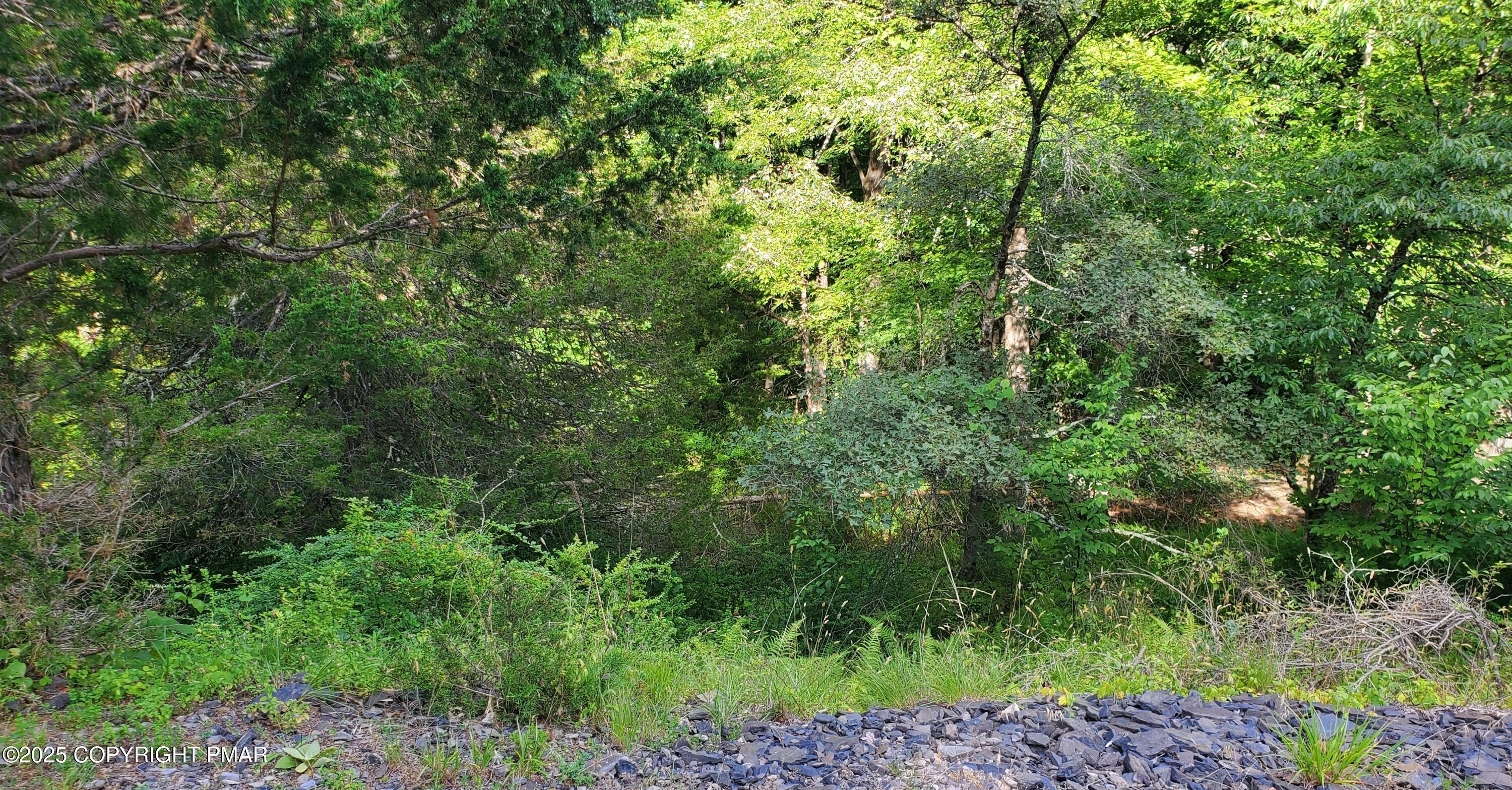 3428 Lancaster Drive