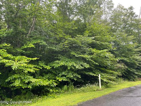 Vacant Land For Sale - LOT 33 Scenic Drive<br/> Blakeslee, PA 18610