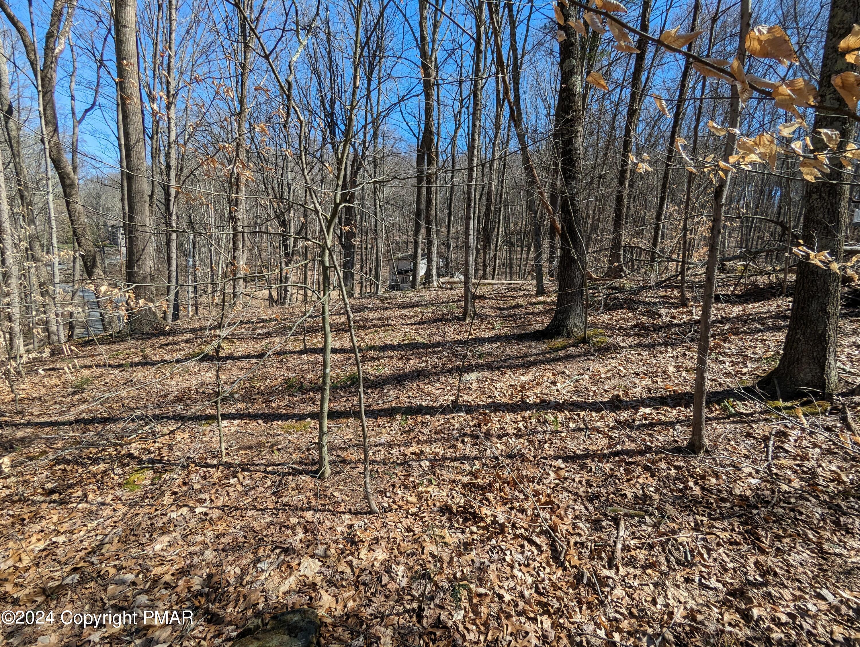 1010 N Fillmore Street, East Stroudsburg, Pennsylvania image 7
