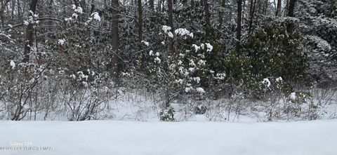 Vacant Land For Sale - Trail Ridge Road<br/> Albrightsville, PA 18210