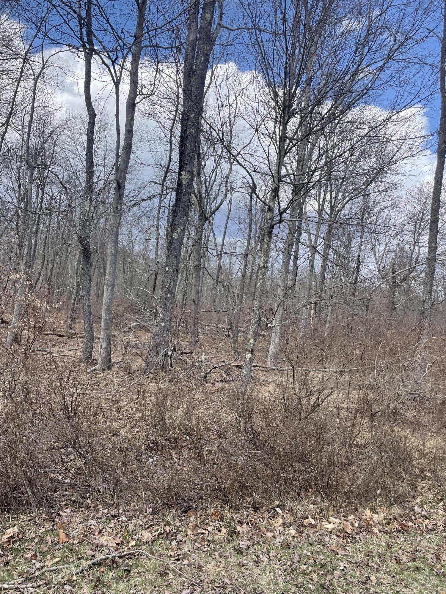 A8 Shawnee Place, Pocono Lake, Pennsylvania image 2