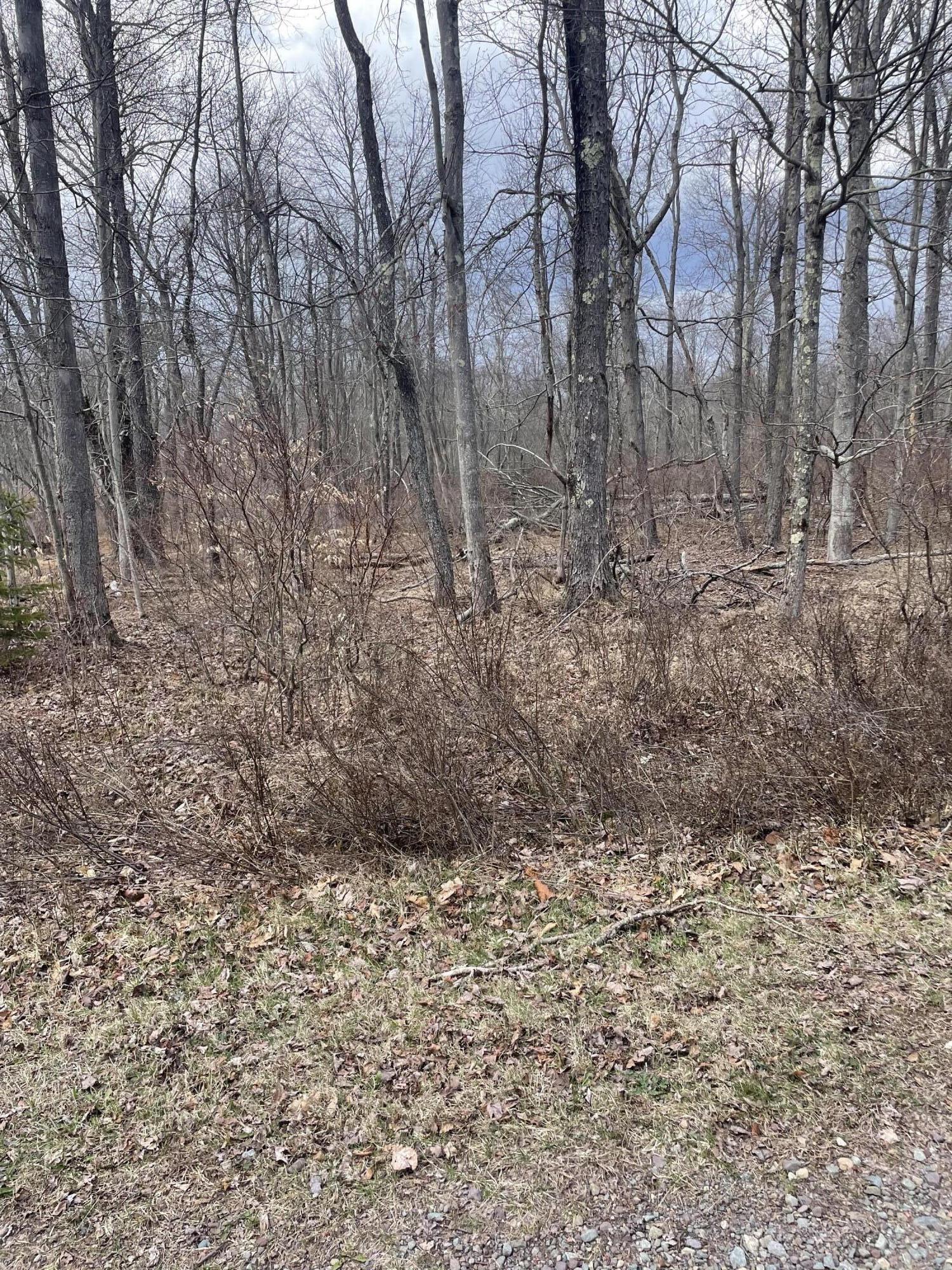 A8 Shawnee Place, Pocono Lake, Pennsylvania image 1