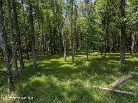Vacant Land For Sale - Mountain Rd  Lot 521<br/> Albrightsville, PA 18210