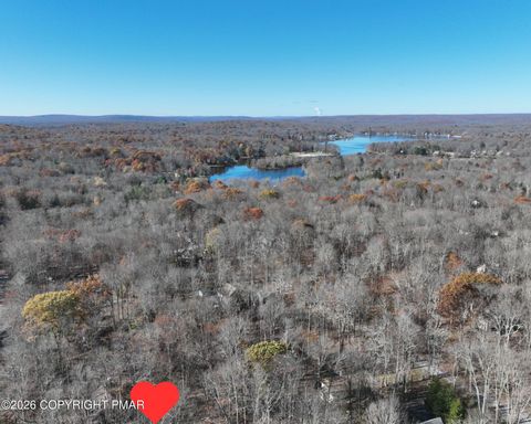 135 Sitka Drive Pocono Lake PA 18347