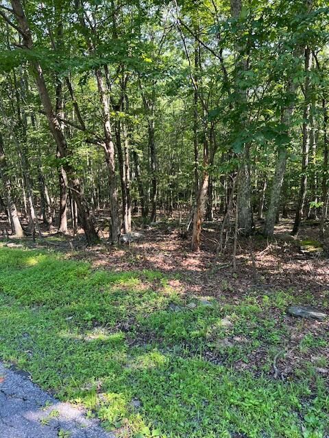 Vacant Land For Sale - Pocono Forested Dr 22 Drive<br/> East Stroudsburg, PA 18302