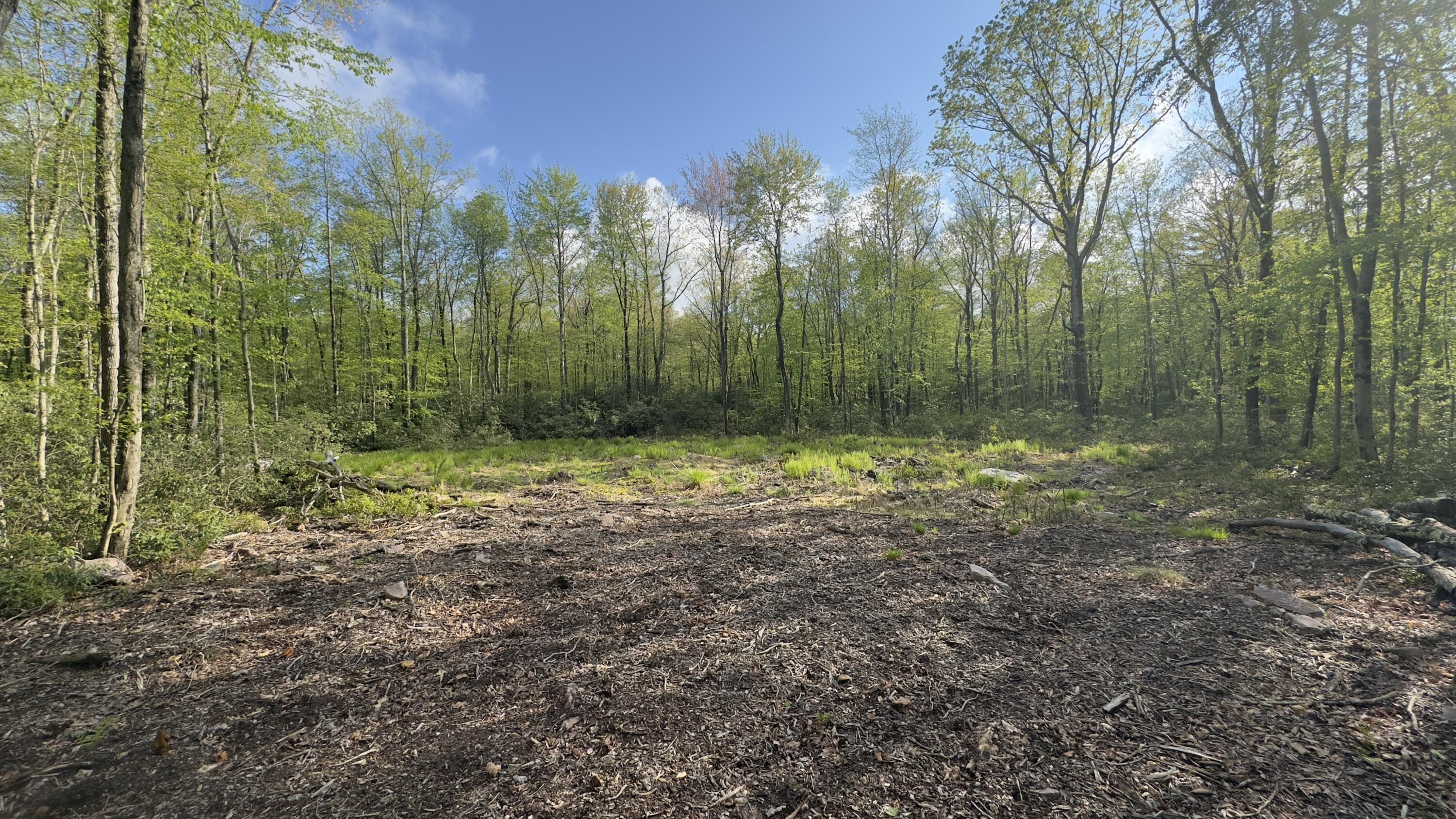 Butternut Road & Mahogany Road, Jim Thorpe, Pennsylvania image 3
