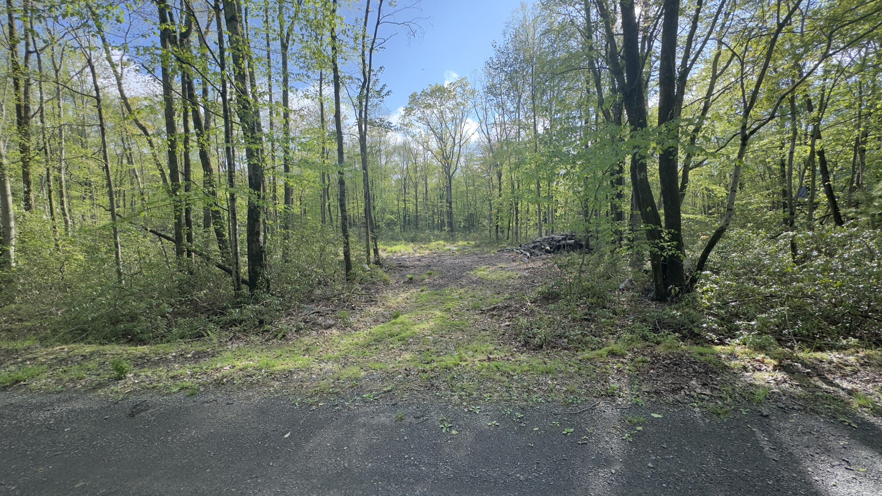 Butternut Road & Mahogany Road, Jim Thorpe, Pennsylvania image 5
