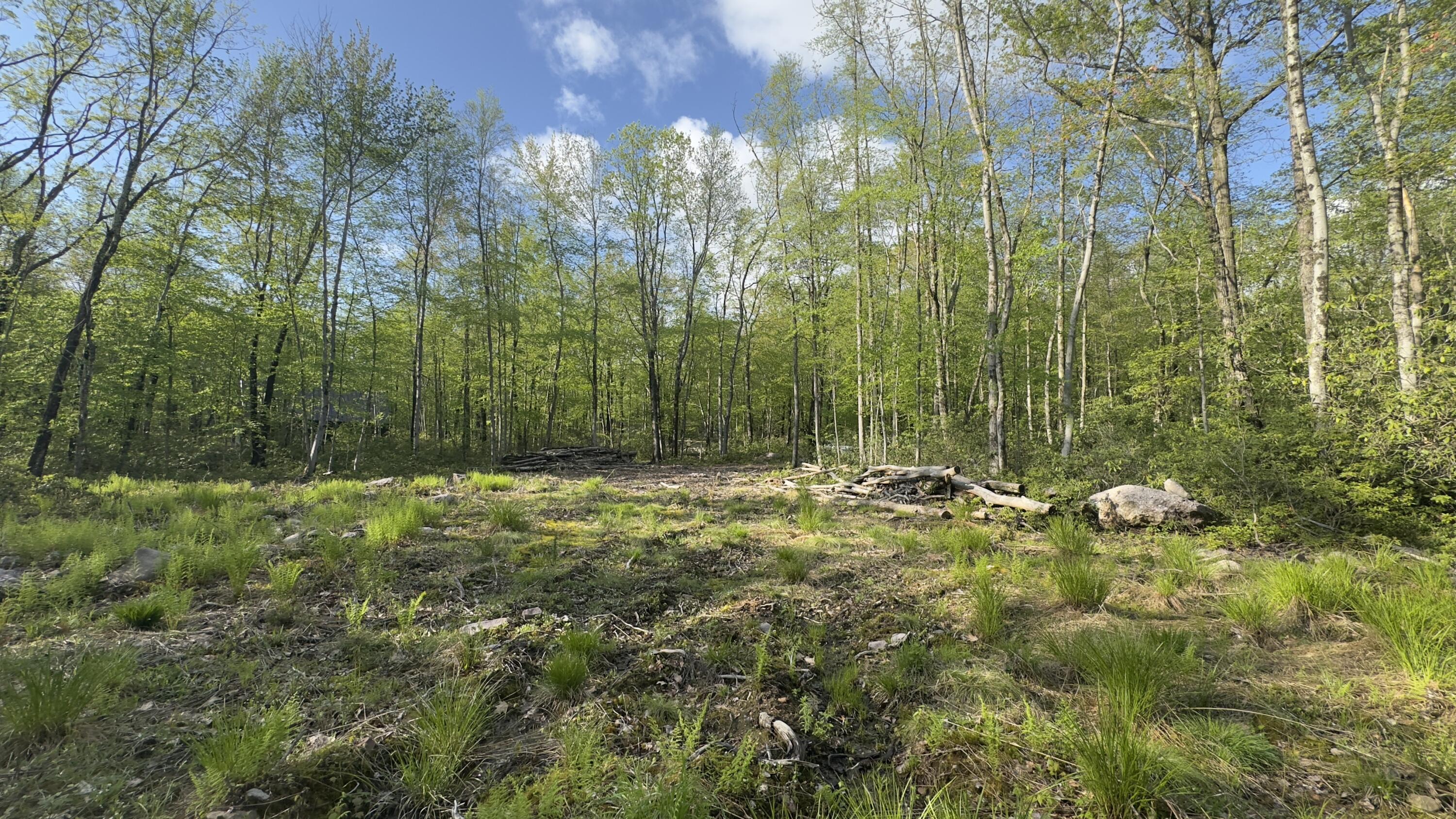 Butternut Road & Mahogany Road, Jim Thorpe, Pennsylvania image 1