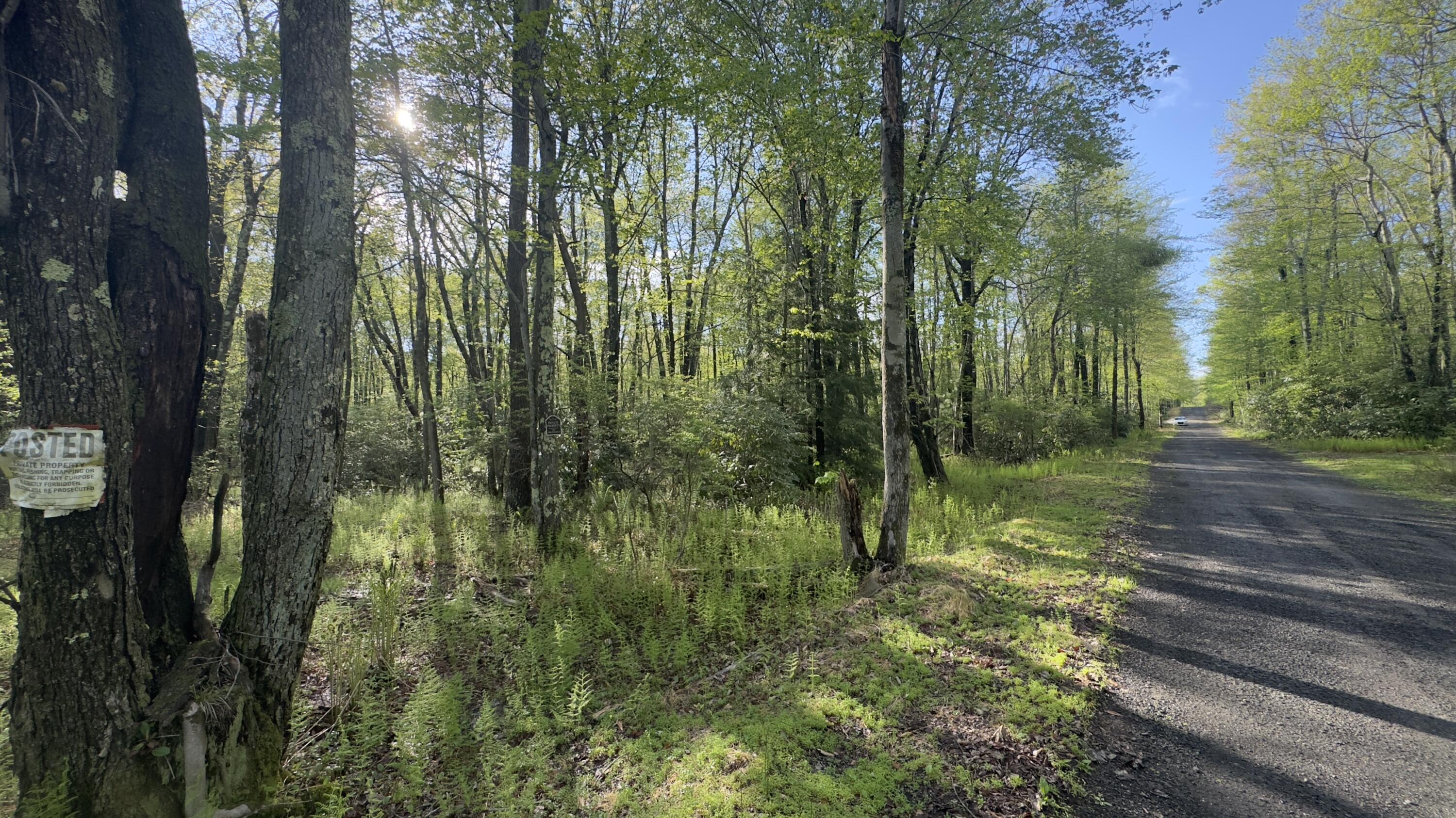 Butternut Road & Mahogany Road, Jim Thorpe, Pennsylvania image 6