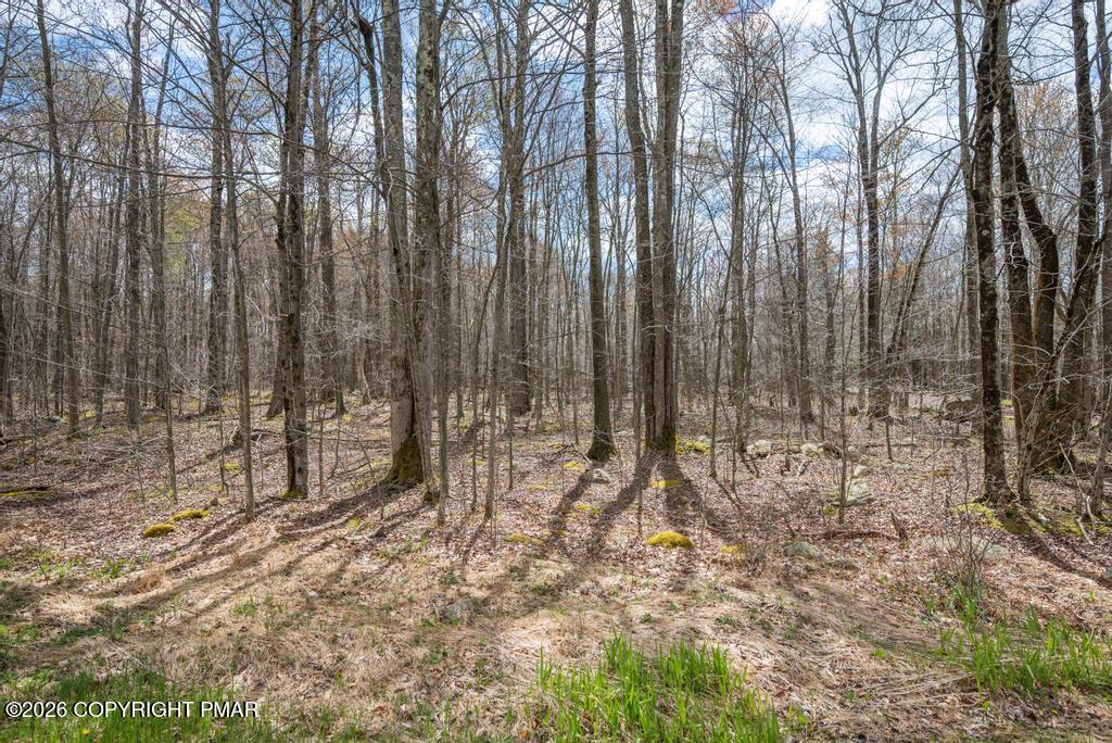 Lot 87 Pioneer Trail